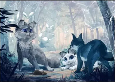 Petite mise en situation : 
Ton nouveau mentor te demande ce que tu veux faire en premier. Que choisis-tu ?