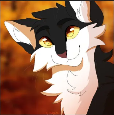 Finalement ton mentor choisit de te faire aller nettoyer la tanière des anciens comment réagis-tu ?