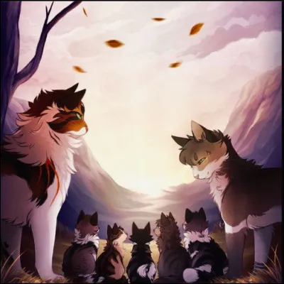 Et pour finir pourquoi as-tu fais ce test ?