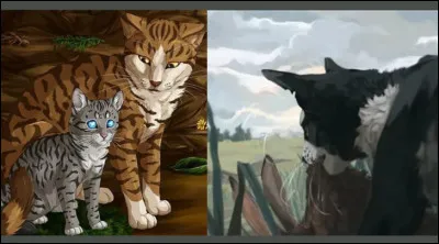 Préfères-tu être apprenti guerrier ou guérisseur ?