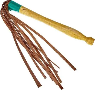 Cet instrument est aussi le nom :