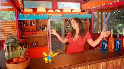 En quelle ann&eacute;e a-t-elle sorti son premier album ?