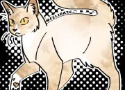 Quiz Quel est ce personnage de LGDC ?