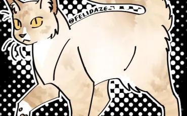 Quiz Litt�rature, po�sie