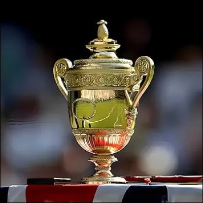 Dans le monde du tennis, de quel c&eacute;l&egrave;bre face &agrave; face se souvient-on lors de la finale de Wimbledon en 2008 ?