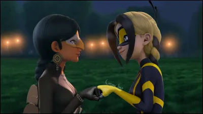 Que représente cette image ?