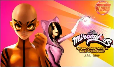 Que représente cette image ?