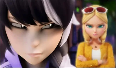 Que représente cette image ?