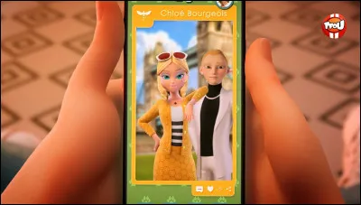 Que représente cette image ?