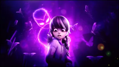 Que représente cette image ?