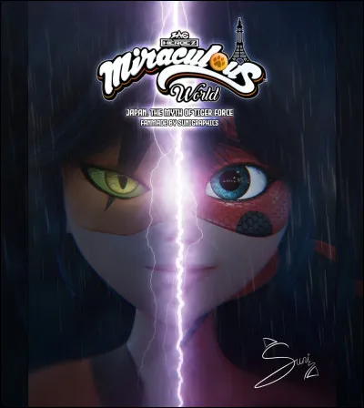 Que représente cette image ?