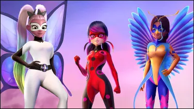 Que représente cette image ?