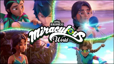 Que représente cette image ?