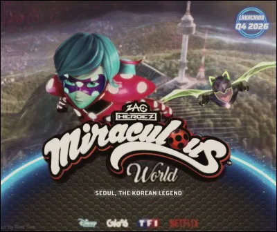 Que représente cette image ?