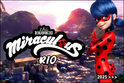 Que représente cette image ?