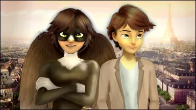 Que représente cette image ?