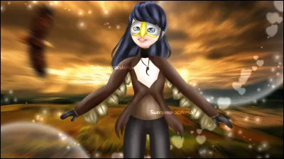 Que représente cette image ?