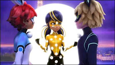 Que représente cette image ?