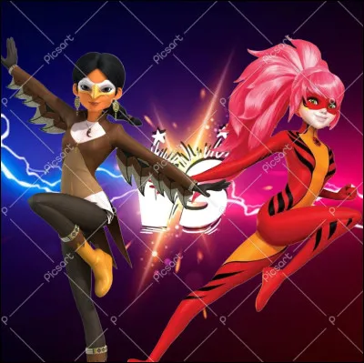 Que représente cette image ?