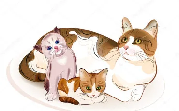 Quiz Test de personnalit