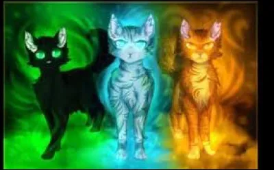 Veux-tu qu'un de tes parents soit un des trois élus ?