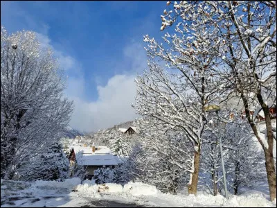 Le mélèze est le seul conifère qui perd son feuillage en hiver. Comment appelle-t-on ce type de feuillage ?