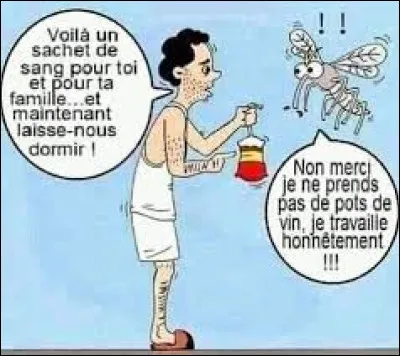 Est-ce que l'on dit ... ou ... ?