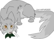 Quiz Connais-tu bien Longues Moustaches ? LGDC