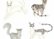 Quiz Connais-tu bien Aile Blanche ? LGDC