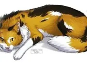 Quiz Connais-tu bien Poil de Chtaigne ? LGDC