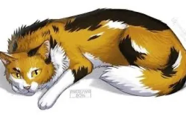 Quiz Littrature, posie