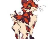 Quiz Connais-tu bien Queue de Tortue ? LGDC