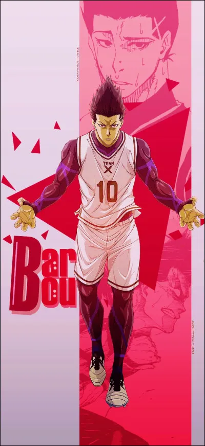 De quelle couleur sont les mèches de Barô ?