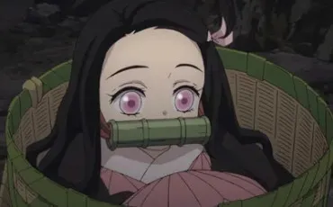 Quiz Test de personnalit