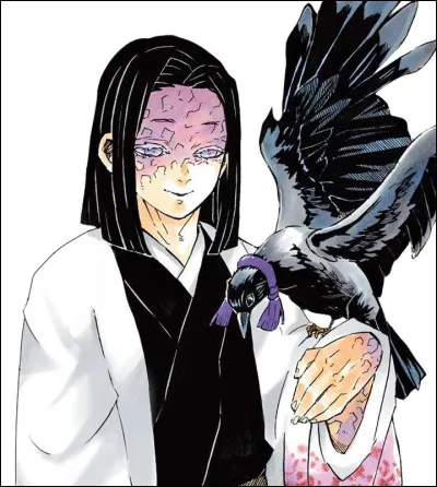 Aimerais-tu être un pilier, un pourfendeur ou un démon ?