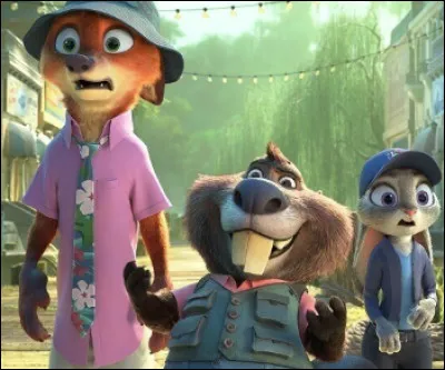 Physiquement, tu es plutôt :