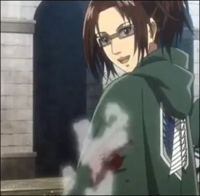 Pour commencer, aimes-tu Hansi ?