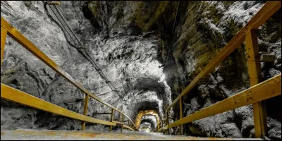 De quand datent les premiers réseaux de galeries recensés en France ?