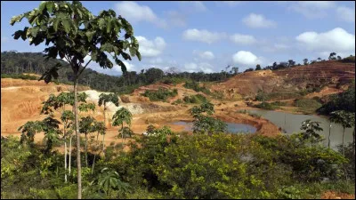 Quelle substance minière est principalement exploitée en Guyane ?