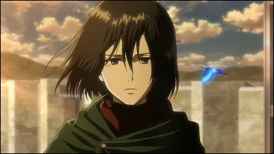 Présent : 
Les parents d'Eren  Grisha et Carla et sa sur ... Mikasa.