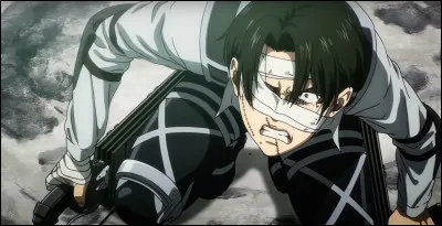 Et pour finir, Livaï et Hansi  les meilleurs personnages !