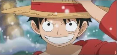 Comment sappelle la première forme de Luffy ?