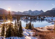 Test Loup ou brebis ?