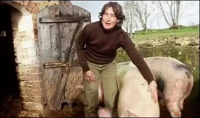 L'habitat traditionnel des cochons se nomme...