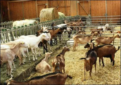 Comment se nomme cet endroit ?