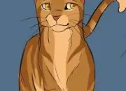 Quiz Connais-tu bien Poil de Fougre ?