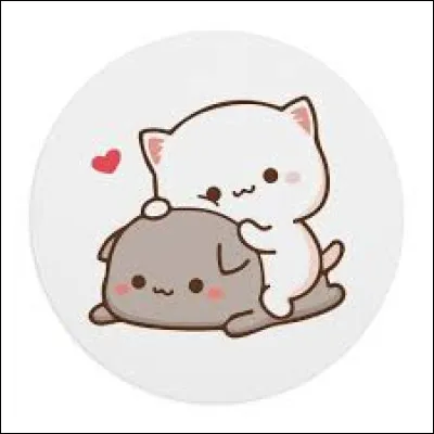 Que penses-tu de toi ?