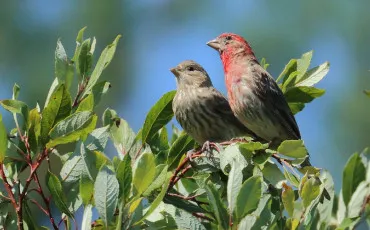 Quiz Test de personnalit