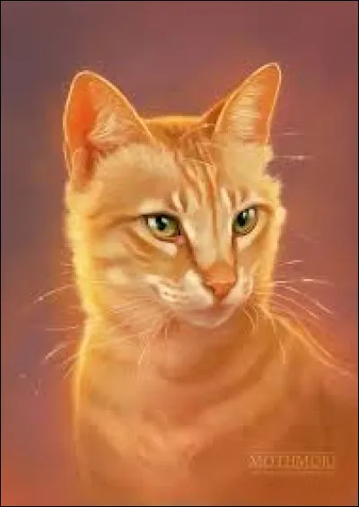 Qui présente à Ciel Bleu une chatte qui deviendra sa compagne ?