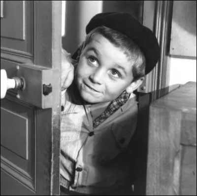 Dans quel film apparaît le personnage de Petit Gibus ?